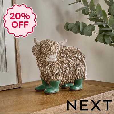NEXT Large Hamish in Boots