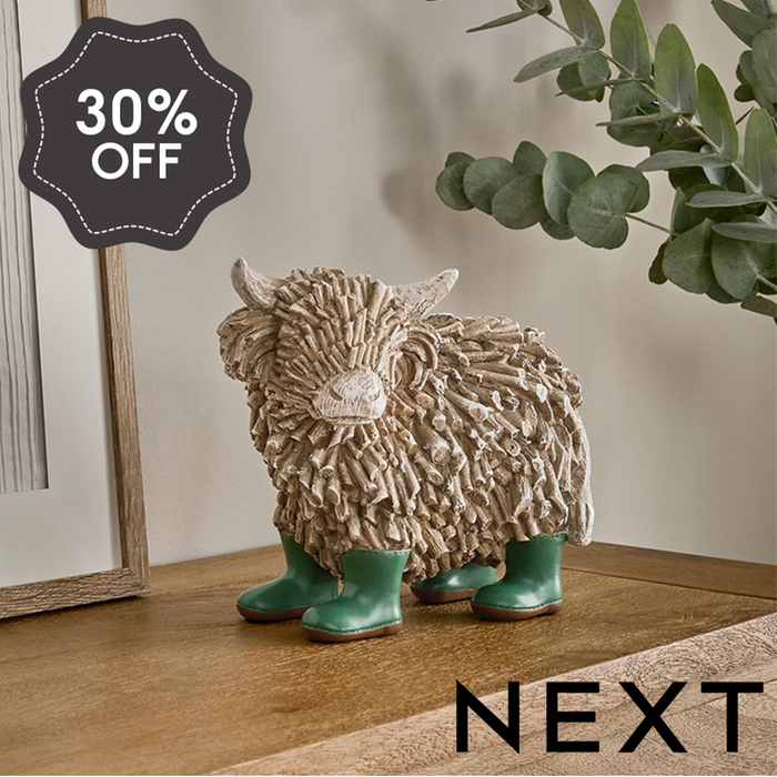 NEXT Large Hamish in Boots