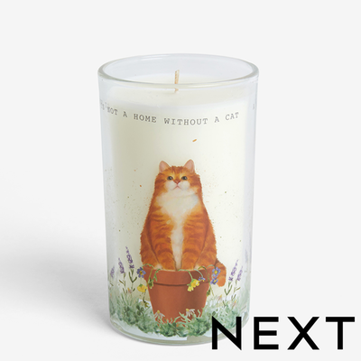 NEXT Orange Tiggy the Cat White Jasmine Pillar Candle