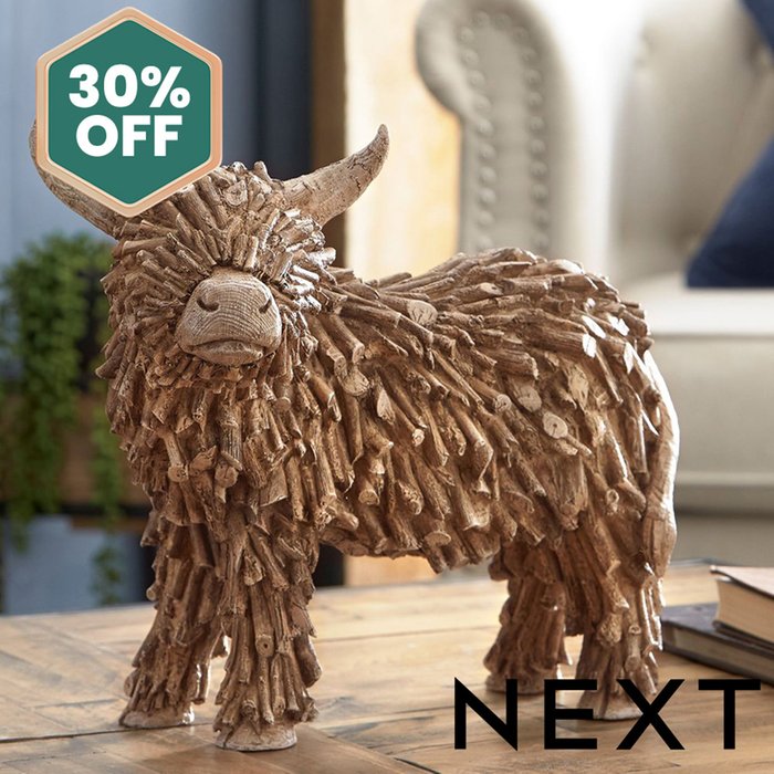 NEXT Brown Hamish the Highland Medium Cow