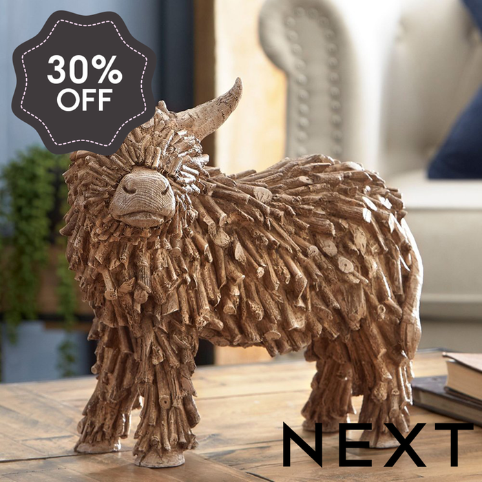 NEXT Brown Hamish the Highland Medium Cow