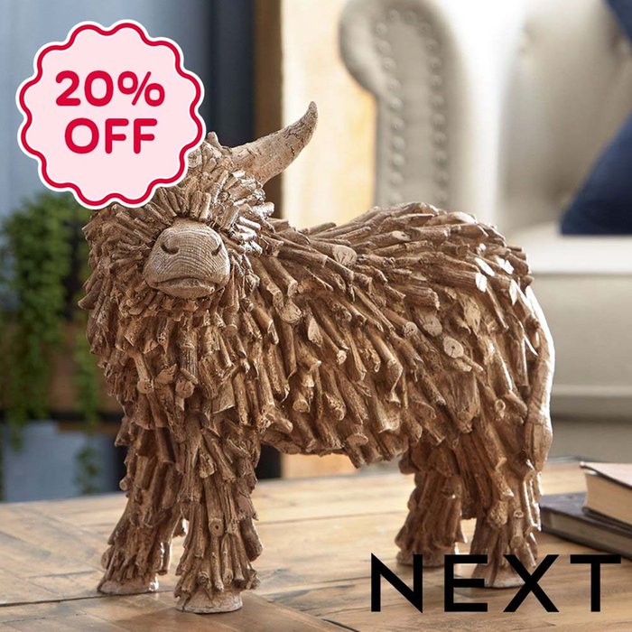 NEXT Brown Hamish the Highland Medium Cow