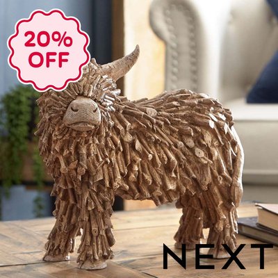 NEXT Brown Hamish the Highland Medium Cow