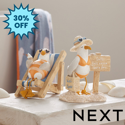 NEXT Set of 2 Novelty Seagull Ornaments