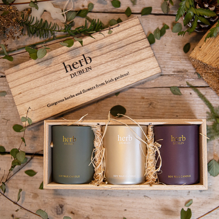 Winter Candle Trio by Herb Dublin
