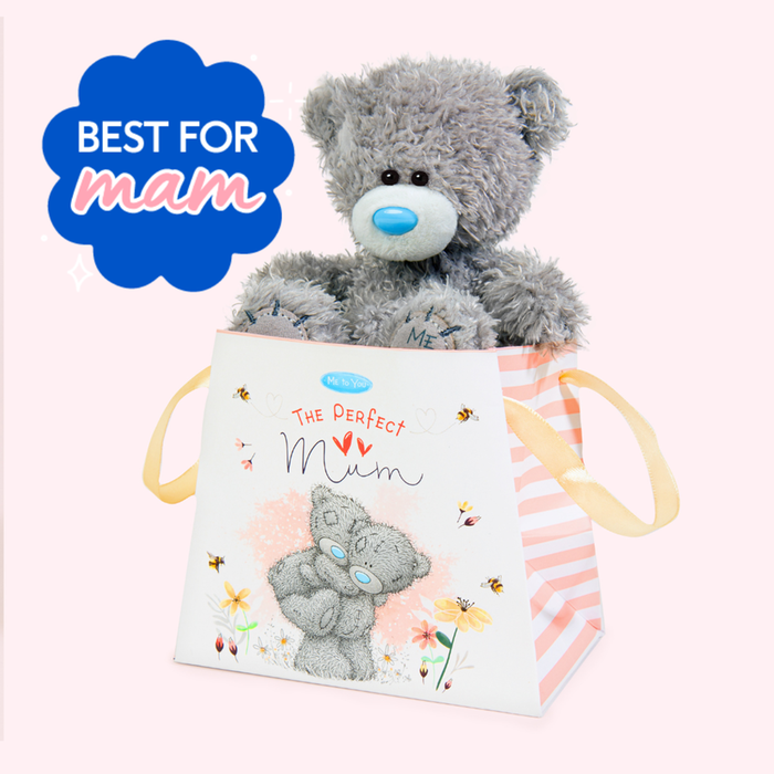 Tatty Teddy Perfect Mum 13cm Bear in a Bag