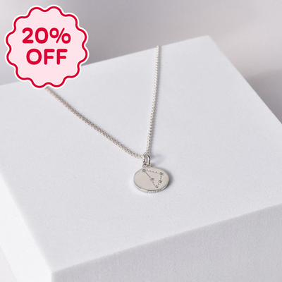 'Capricorn' Zodiac Silver Necklace