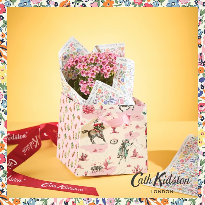 Cath Kidston Desert Dreams Kalanchoe Flower & Gift Bag