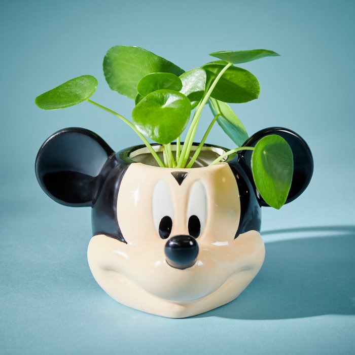 Disney’s Mickey Plant & Mug