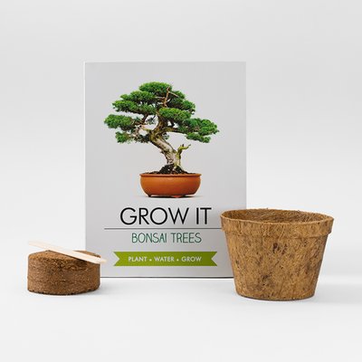 Grow It Bonsai Tree Plant