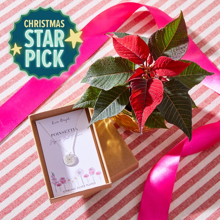 Mini Poinsettia in Gold Pot & Birthflower Necklace