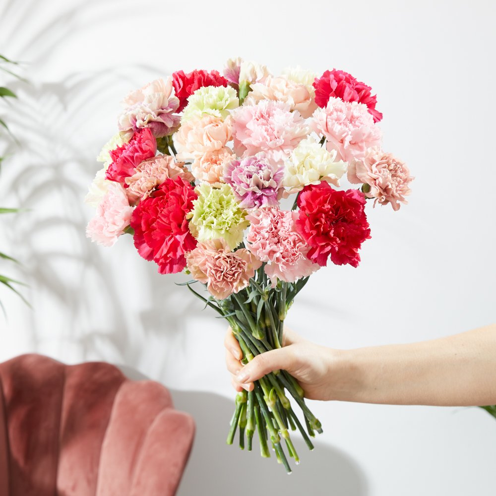 Moonpig Mixed Standard Carnations Flowers