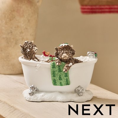 NEXT Hamish Christmas Dec