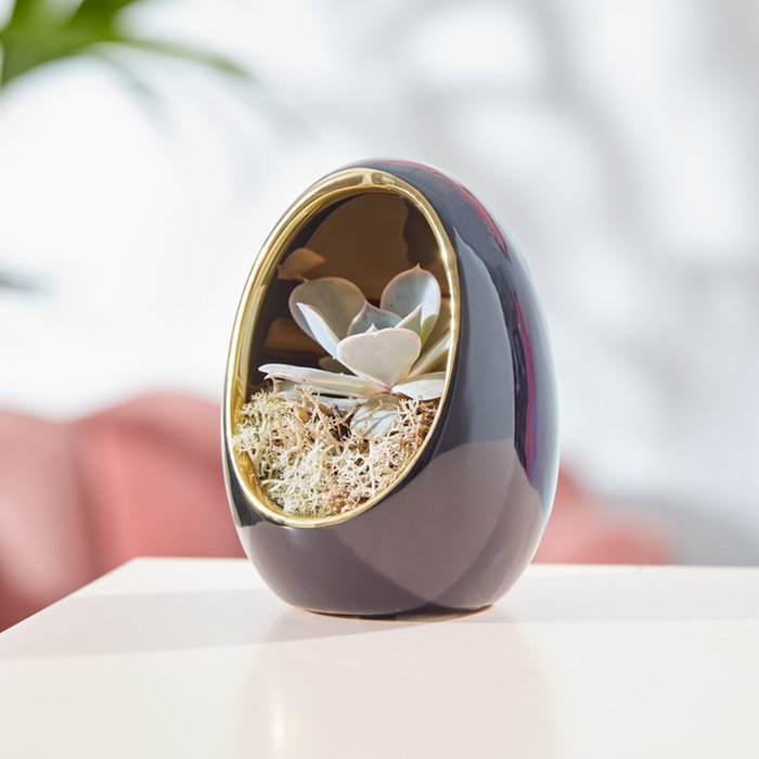 The Opulent Egg