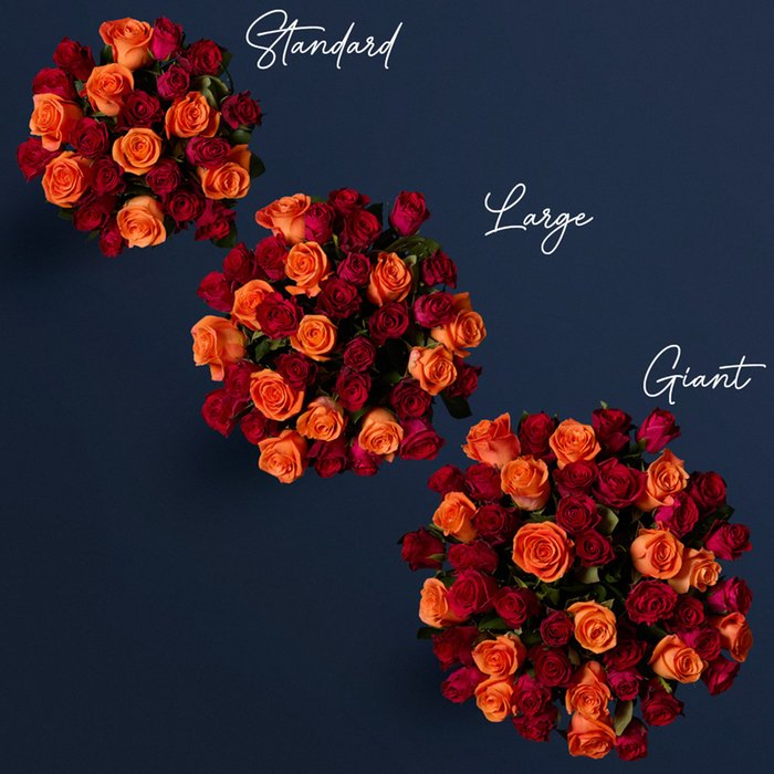 Red & Orange Mixed Rose Bouquet
