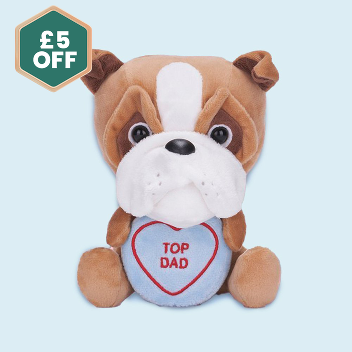 Swizzels Love Hearts 18cm Top Dad Bulldog