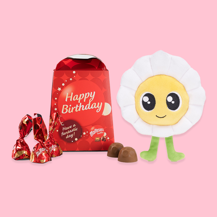 Blooming Amazing 16cm Post Pal & Maltesers Truffles 'Happy Birthday' Box 200g