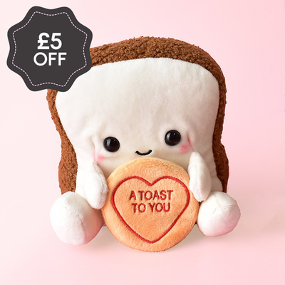 Swizzels Love Hearts 15cm Toast To You