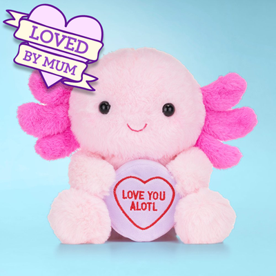 Swizzels Love Hearts 18cm Axolotl Love You Alotl 