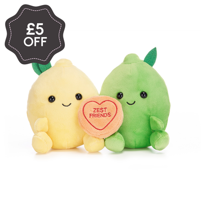 Swizzels Love Hearts 16cm Zest Friends