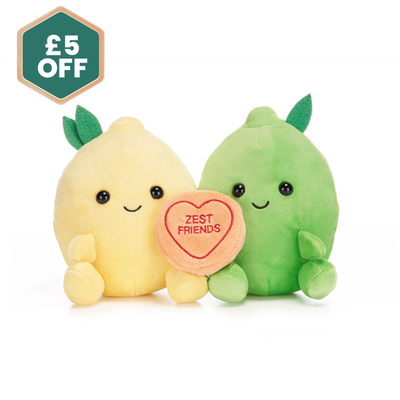 Swizzels Love Hearts 16cm Zest Friends