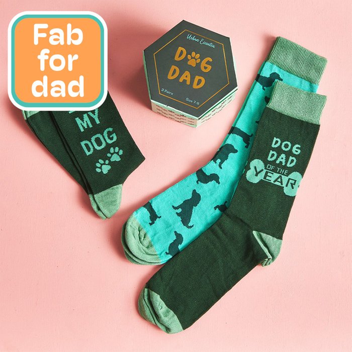 Dog Dad Adults 3pk Socks 