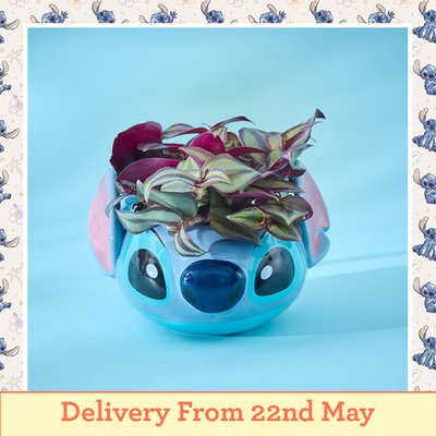 Disney's Stitch Mug with Tradescantia Pink Plant