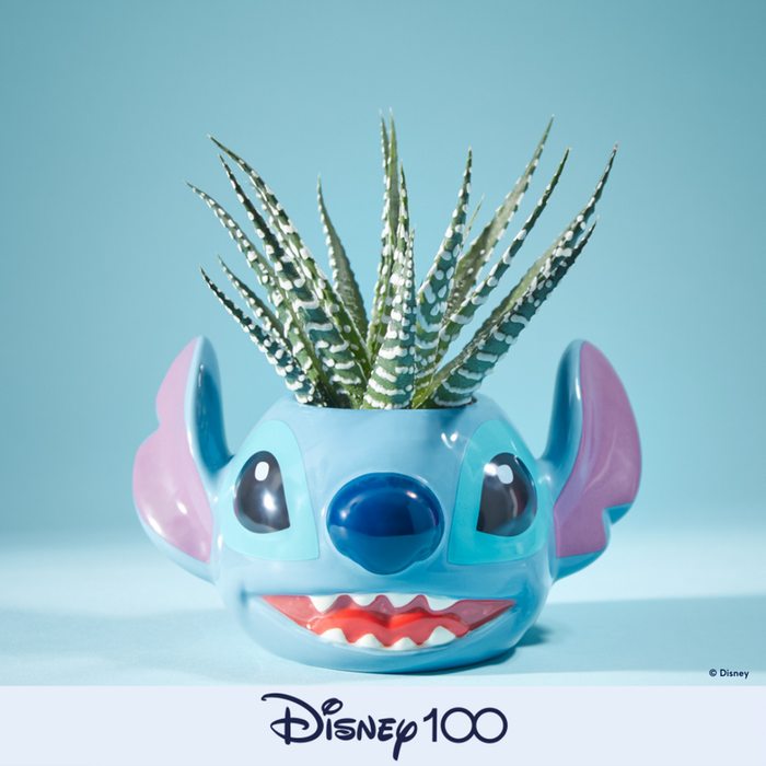 Disney’s Stitch Plant & Pot