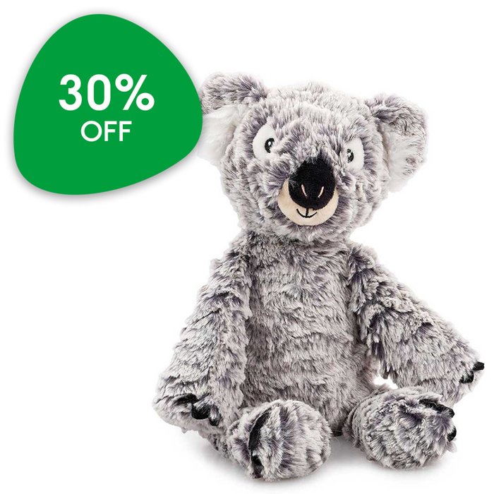 Koala soft toys on sale