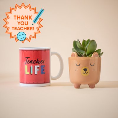 Succulent in Sleepy Bear Planter and Teacher Mug