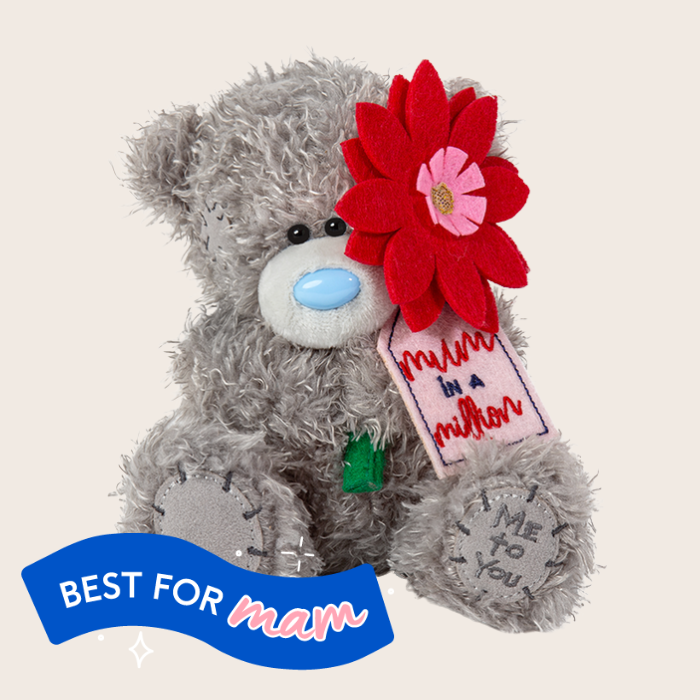 Tatty Teddy Mum in a Million 18cm Bear