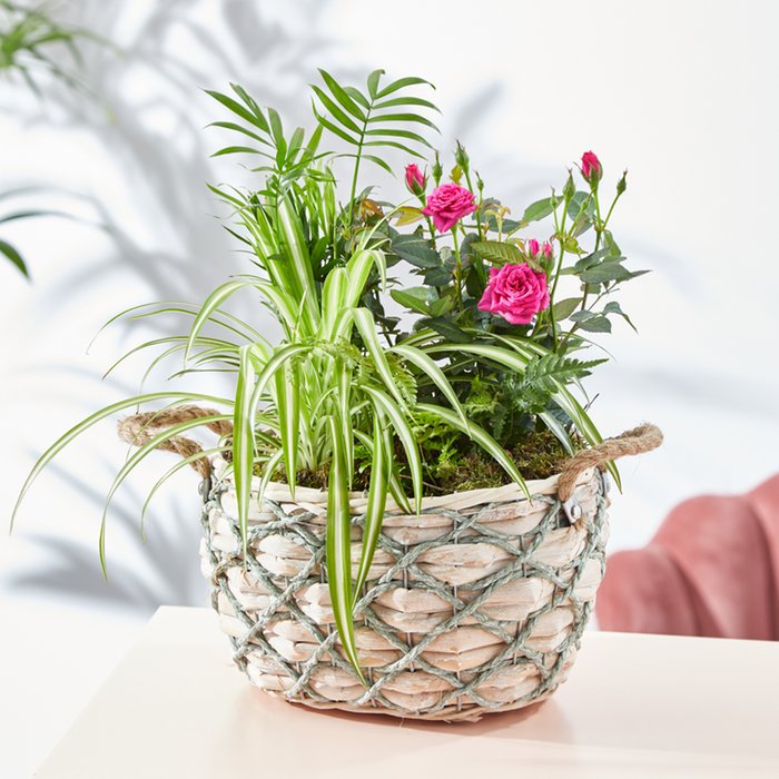 The Sweetest Things Planted Basket