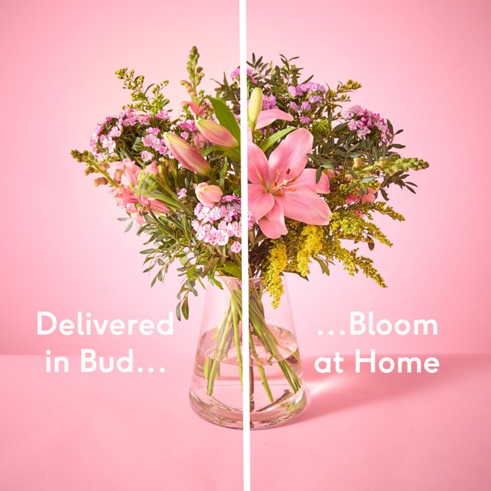 The Mini Blush Bouquet