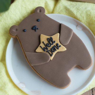 Well Done Bear Vanilla Biscuit Gift Set