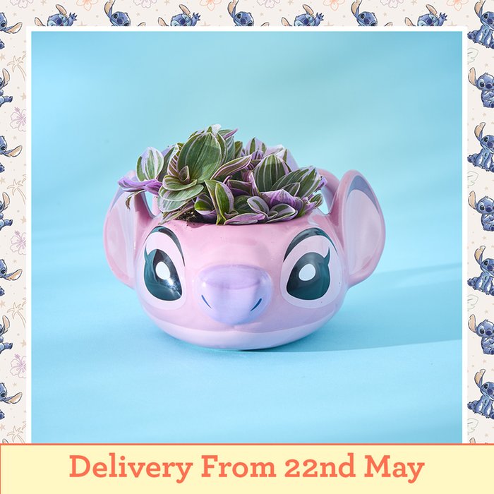 Disney's Angel Mug with Tradescantia Plant