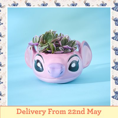 Disney's Angel Mug with Tradescantia Plant
