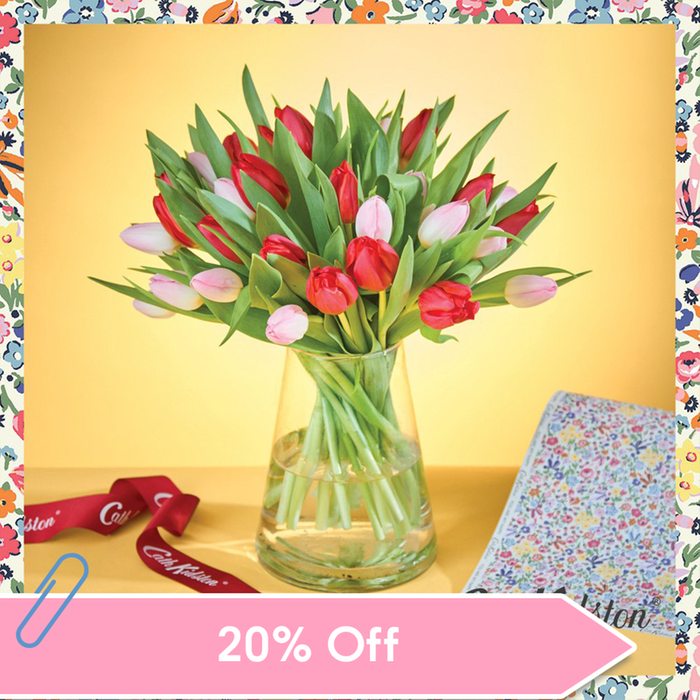 Cath Kidston 30 Mixed Tulips