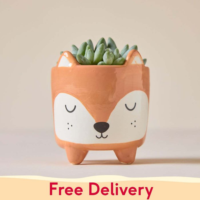 Succulent in Mini Woodland Fox Pot