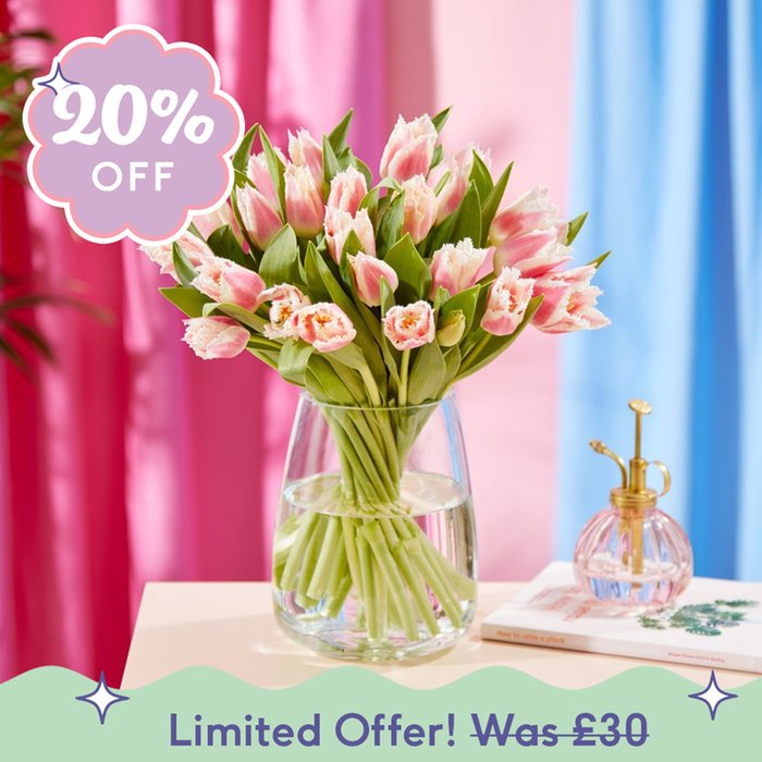 Luxury Sorbet Fringed Tulips Moonpig
