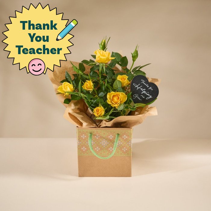 Thank You Teacher Rose in Gift Bag