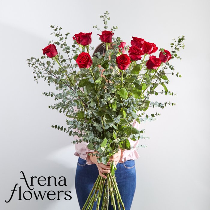 12 Luxury Long Stemmed Red Roses by Arena Flowers