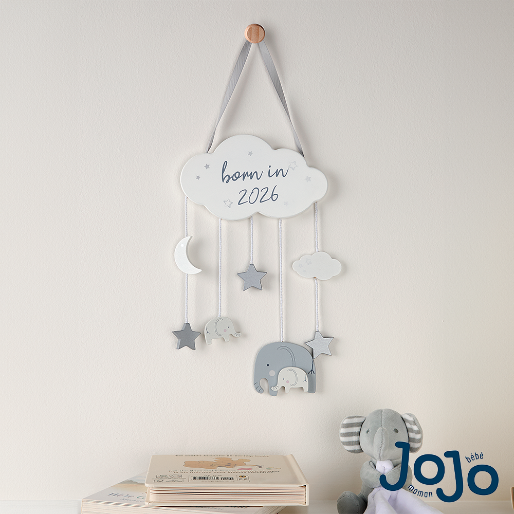 Jojo Maman Bebe Jojo Maman BÃ©bÃ© Born In 2026 Wooden Wall Hanging