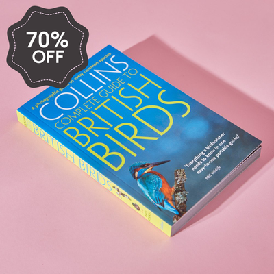 Collins Guide to British Birds Book