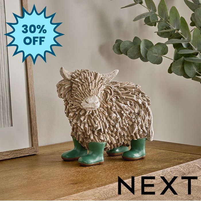 NEXT Large Hamish in Boots