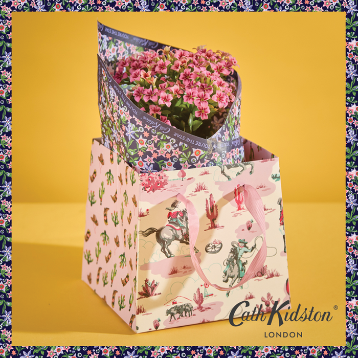 Cath Kidston Desert Dreams Kalanchoe Flower & Gift Bag