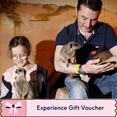 Family Day Out Experience Gift Voucher