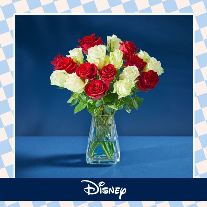 Disney's Christmas Minnie Mouse Mixed Roses