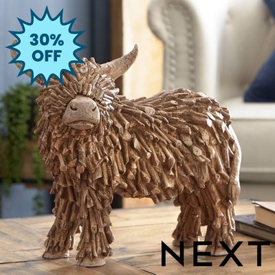 NEXT Brown Hamish the Highland Medium Cow