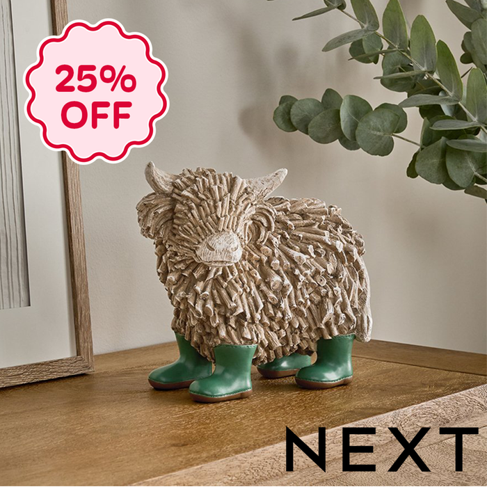 NEXT Large Hamish in Boots