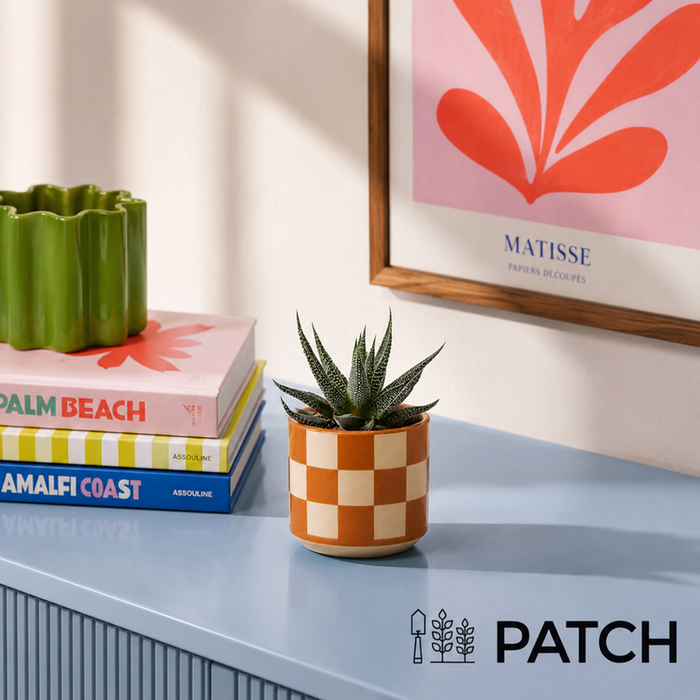 PATCH Mini Suri in Chess Brown pot